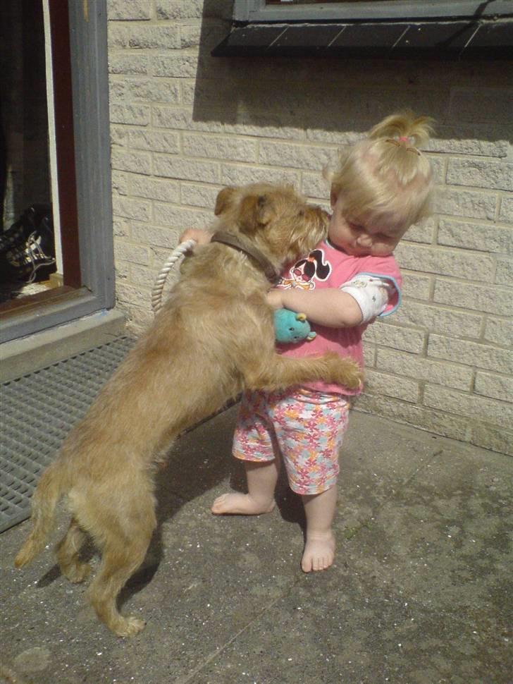 Blanding af racer Smuttie (Gucci) billede 6