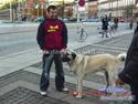 Kangal Tyson