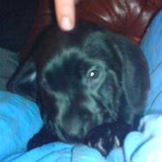 Blanding af racer tøsen<3