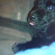 Blanding af racer tøsen<3