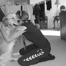 Golden retriever Futte | Himmel- Prinssen