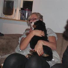 Berner sennenhund Moonsister's Dark shoes (Maggie)