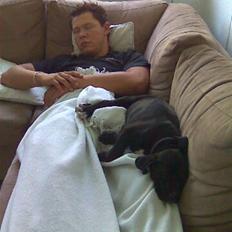 Blanding af racer Cali - Himmelhund