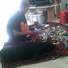 Blanding af racer Liverpool (kaldenavn Liv)