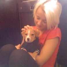 Blanding af racer PACO