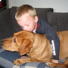 Blanding af racer trunte/dunde 