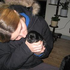 Blanding af racer Mulan