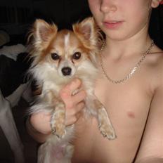 Chihuahua Charlie (R.I.P)