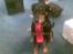Blanding af racer Laika