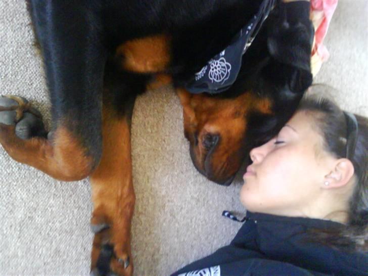 Rottweiler Aslan - Liqe efter mors drenq var blevet opereret ´ trøster min baby :) billede 14