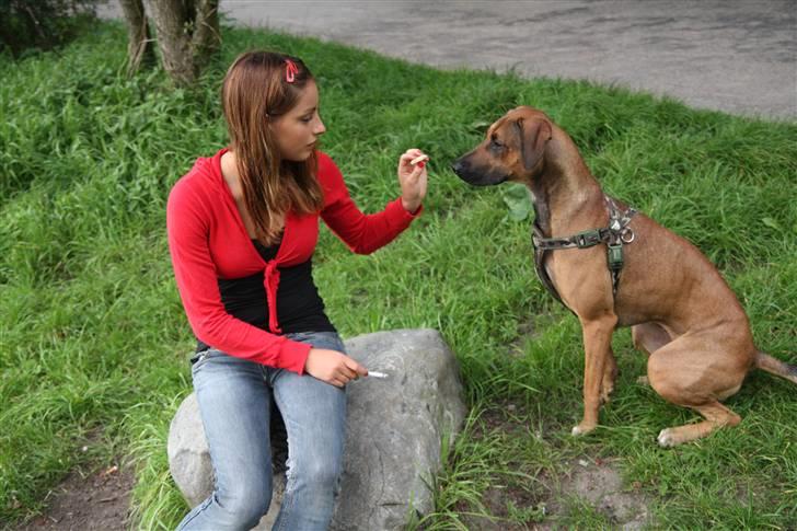 Blanding af racer Freja billede 8