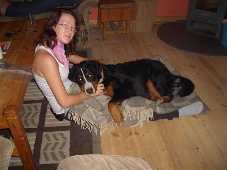 Berner sennenhund Samson - Min søster og ( lille samson )  dejlige tider... billede 9