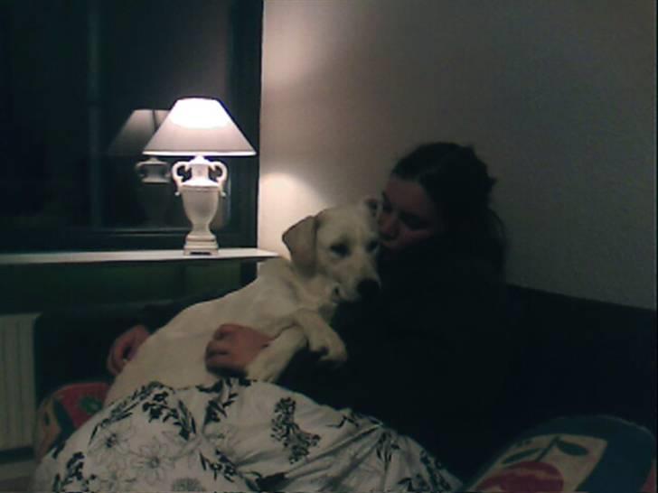 Blanding af racer Ramses - Elsker min mor..  billede 8