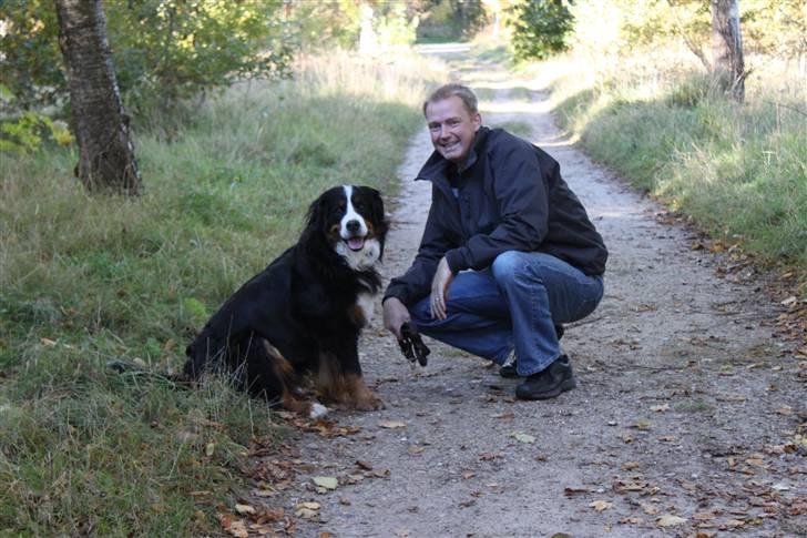Berner sennenhund Østersø Pedersens Aika - Mig og farmand i skoven :). billede 11