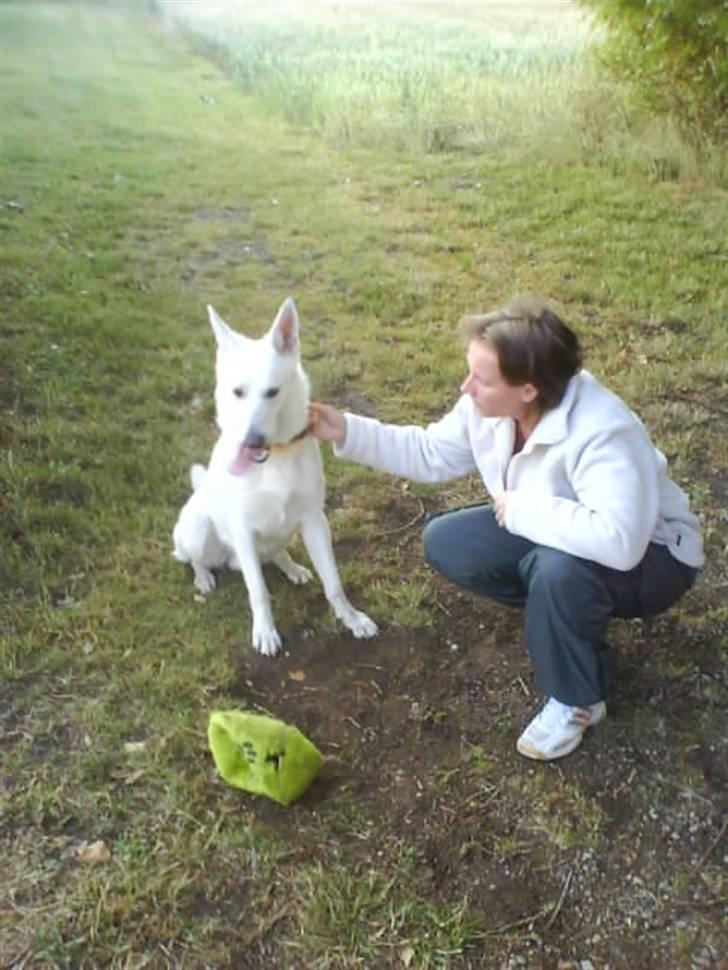 Hvid schæfer Luka ***RIP*** - her er jeg og min mor billede 7