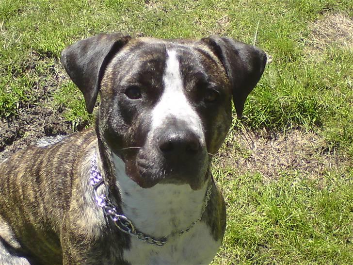 Blanding af racer Oompa - Får sig lige en morfar =) billede 7