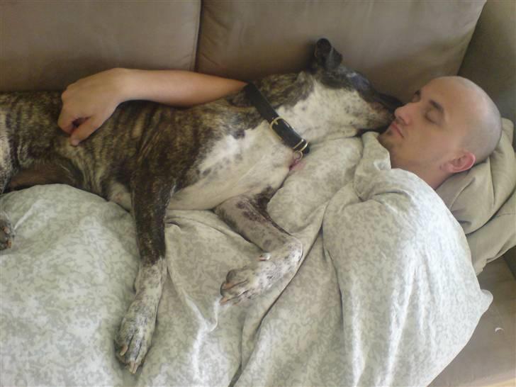 Blanding af racer Oompa - putter med far .. billede 9