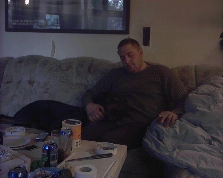 Rottweiler joejoe + 8-02-2010 billede 4