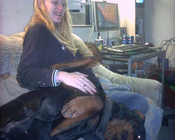 Rottweiler joejoe + 8-02-2010 billede 9