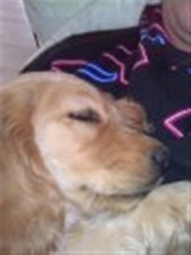 Blanding af racer Lukas <3 billede 5