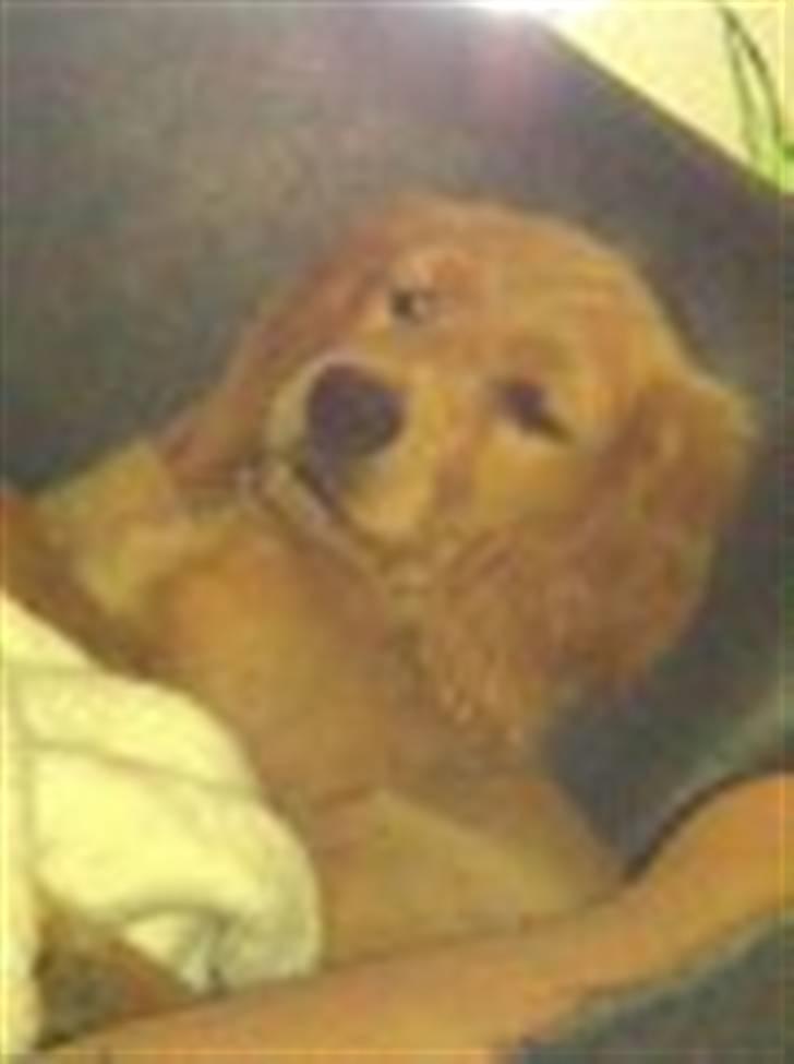 Blanding af racer Lukas <3 billede 8