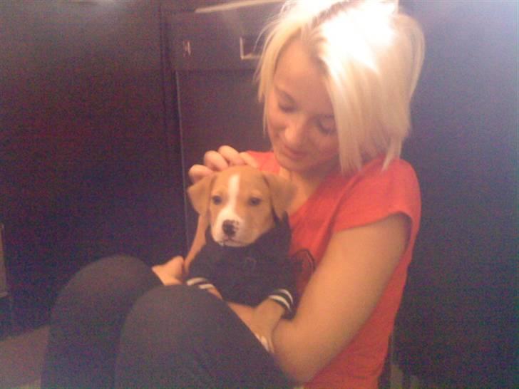 Blanding af racer PACO - Charmetrold billede 3