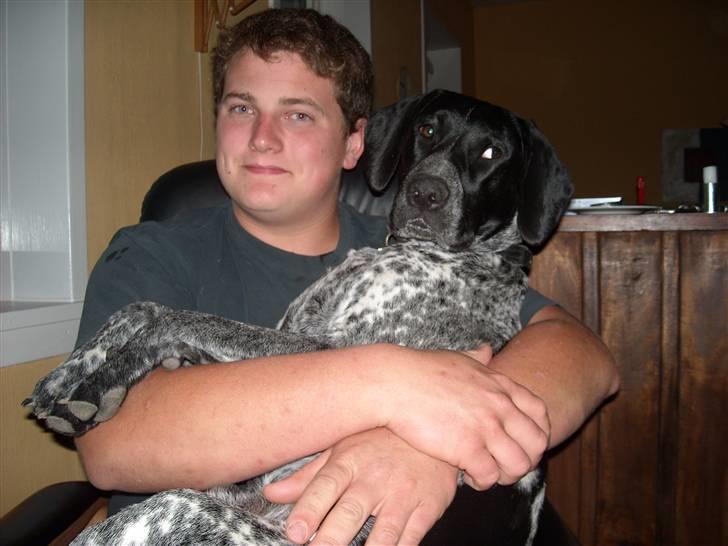 Blanding af racer Basse billede 1