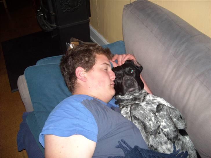 Blanding af racer Basse billede 2