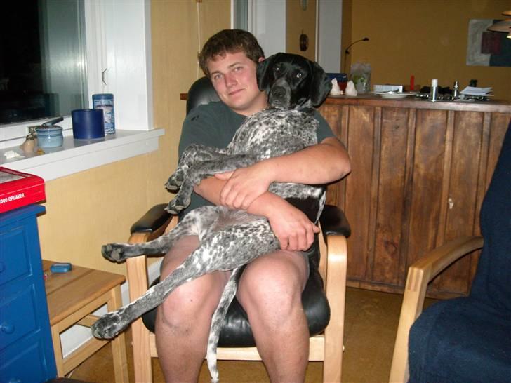 Blanding af racer Basse billede 3