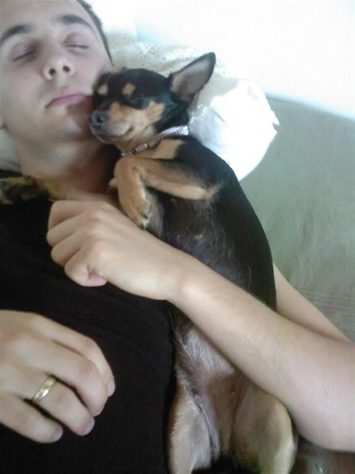 Blanding af racer Julle - Julle sover sammen med far.. Hihi.. Sødt billede 19