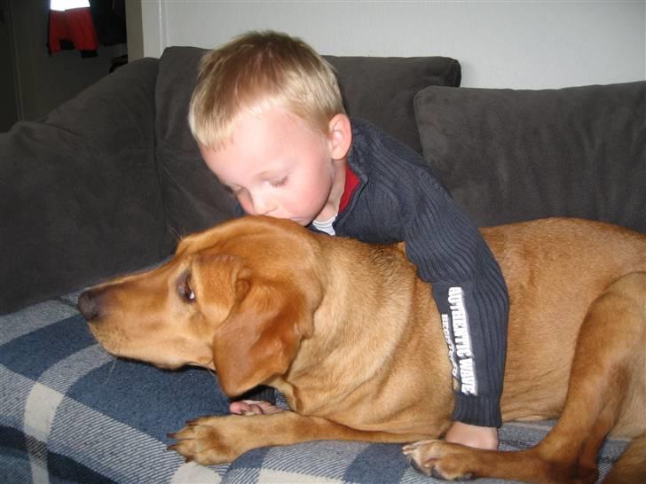 Blanding af racer trunte/dunde  - det er min trunte  billede 1