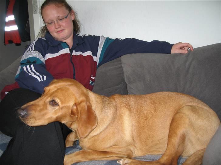 Blanding af racer trunte/dunde  billede 4