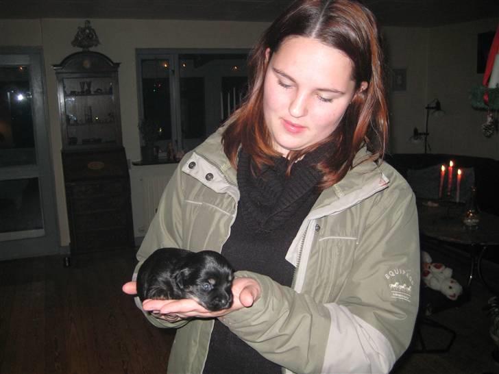 Blanding af racer Mulan - Mulan og mig billede 5