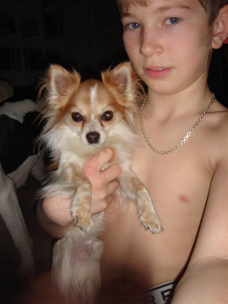 Chihuahua Charlie (R.I.P) - Charlie og lillebror :) billede 2