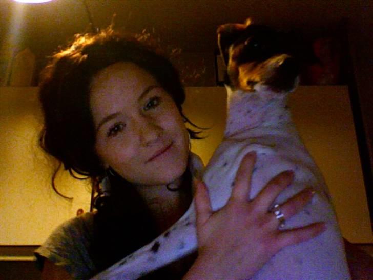 Dansk svensk gaardhund Laban billede 16