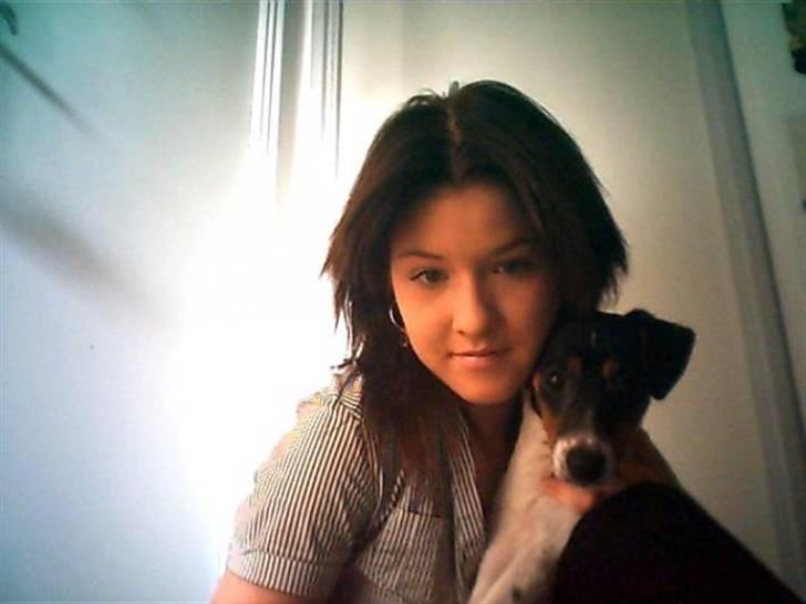 Dansk svensk gaardhund Laban billede 17