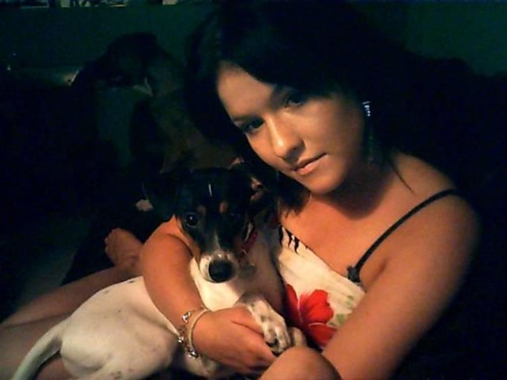 Dansk svensk gaardhund Laban billede 18