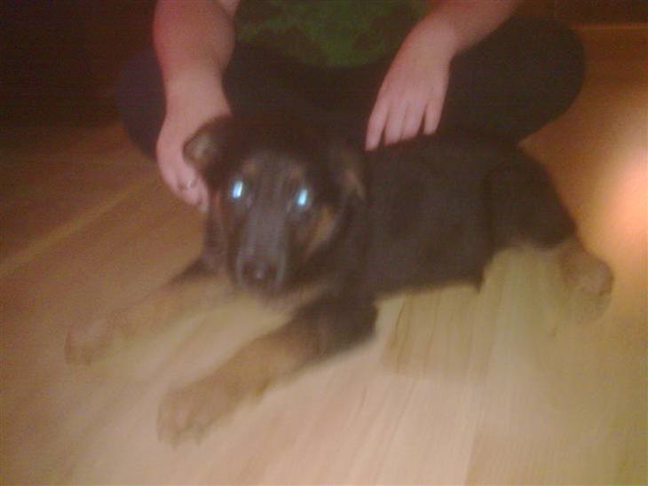 {{currentPhoto.altText}} billede {{currentPhoto.number}}