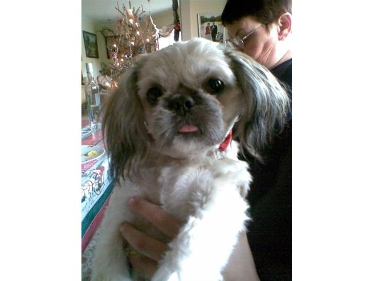 {{currentPhoto.altText}} billede {{currentPhoto.number}}