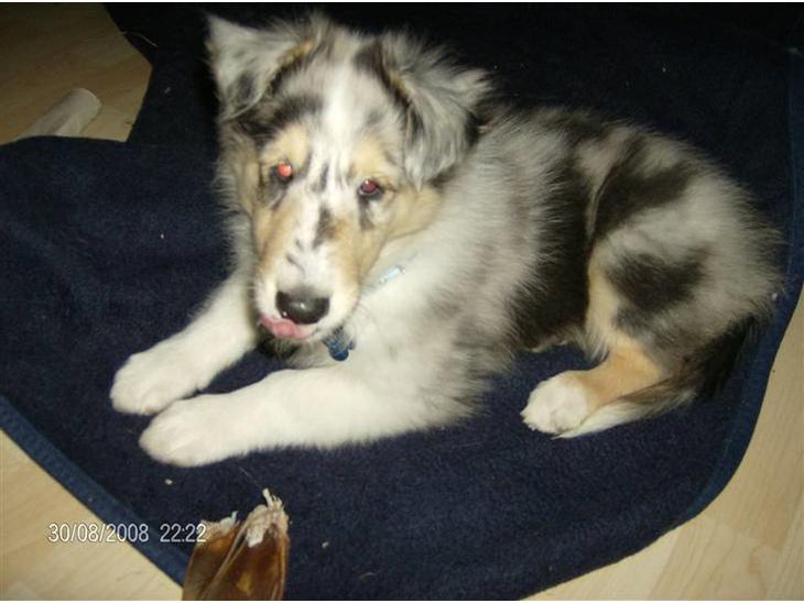 {{currentPhoto.altText}} billede {{currentPhoto.number}}