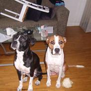 Blanding af racer Kira