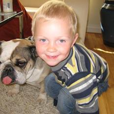 Engelsk bulldog *rip* sveske