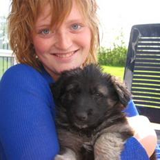 Blanding af racer Lotus