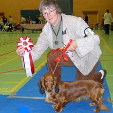 Gravhund Basotto´s Debbie