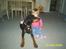 Dobermann Ally *R.I.P*
