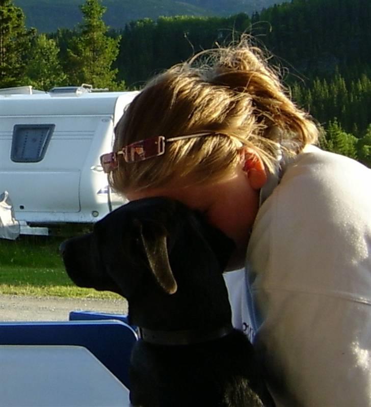 Blanding af racer Fifi - Ren hygge billede 4