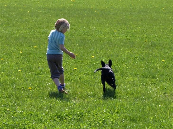 Blanding af racer Fifi - So much fun!!! billede 11