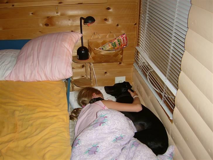 Blanding af racer Fifi - ZZzzz billede 17