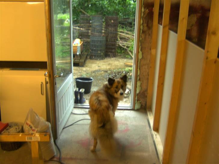 Blanding af racer django billede 19