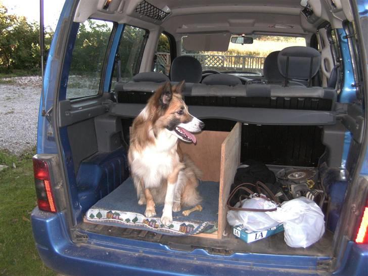 Blanding af racer django billede 20